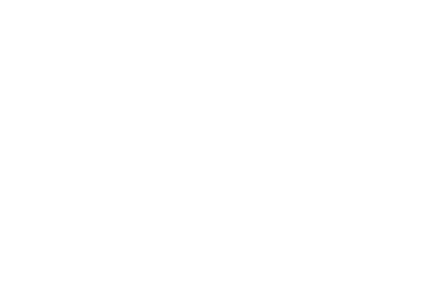 Official Selection of the 2022 Berkshire International Film Festival