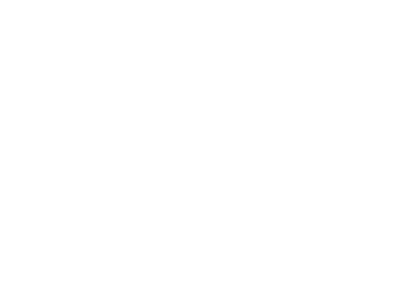 Official Selection of the 2022 Nevada Film Festival