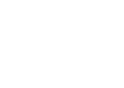 Official Selection of the 2022 Friday Harbor Film Festival