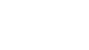 Official Selection of the 2022 Middlebury New Filmmakers Festival