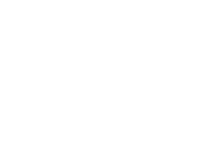 Middlebury New Filmmakers Festival - WINNER Audience Award - 2022