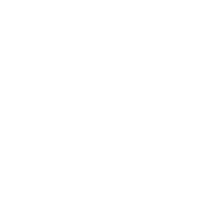 Official Selection of the 2022 Virginia Film Festival