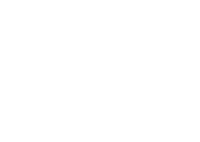 Official Selection of the 2022 Virginia Film Festival