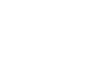 Official Selection of the 2022 Friday Harbor Film Festival