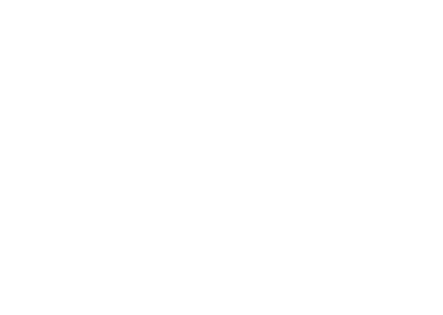 Official Selection of the 2022 Friday Harbor Film Festival