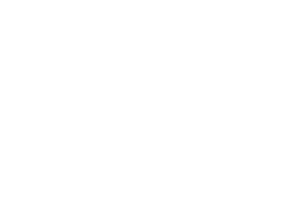 Official Selection of the 2022 Orlando Film Festival